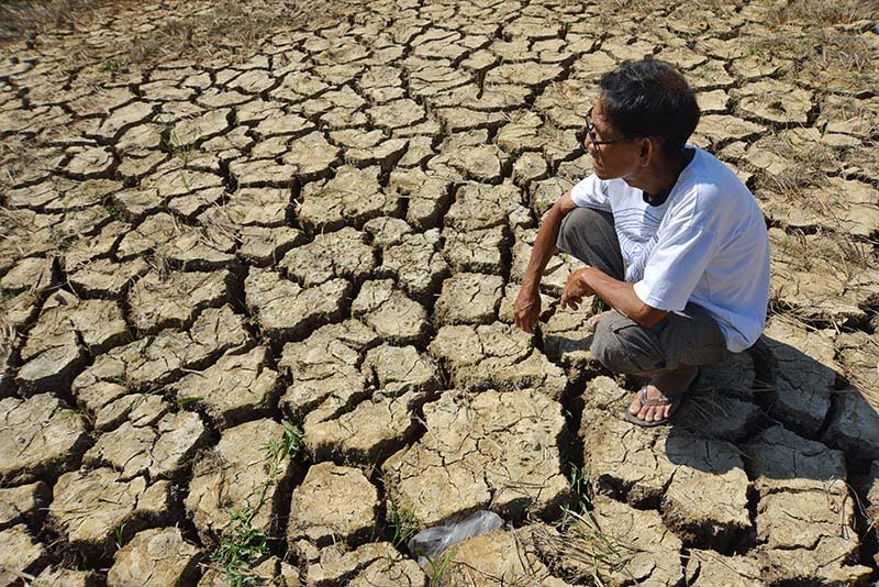 Việt Nam cần chủ động giảm thiểu và thích ứng với biến đổi khí hậu 1