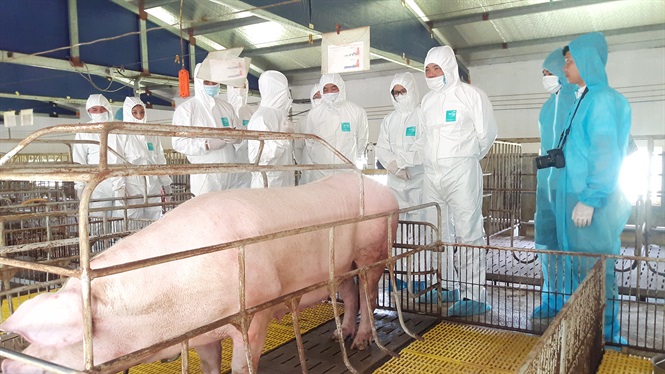 Kiểm soát chặt chẽ người ra vào tại trang trại chăn nuôi lợn an toàn sinh học