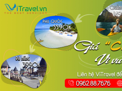 ViTravel - Nhà tổ chức Tour du lịch nội địa và quốc tế uy tín hàng đầu Việt Nam