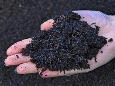 Compost trùn quế Biochar